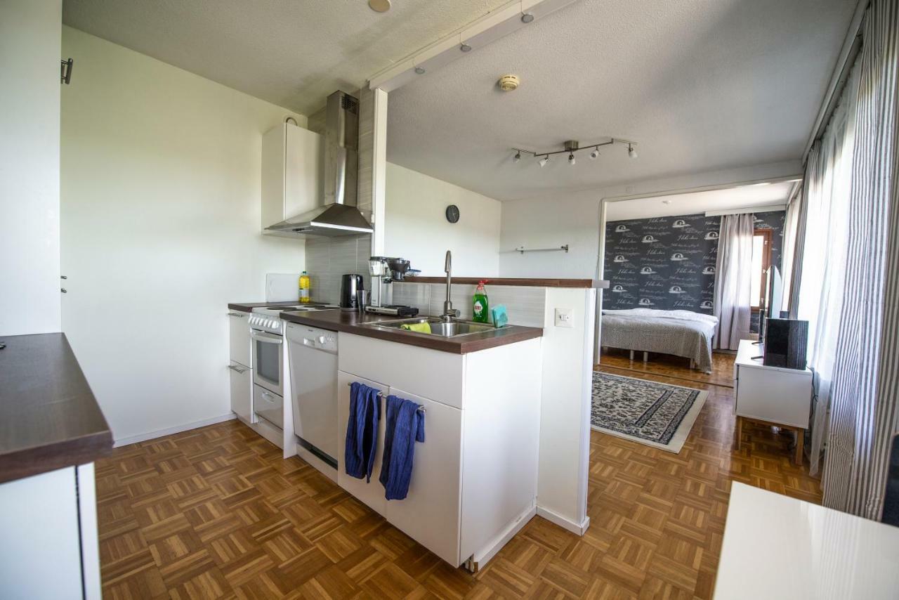 Mikkeli Citycenter Apartment With Sauna Zewnętrze zdjęcie
